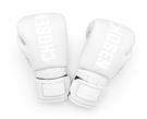 Chosen Supergel Premium Boxing Gloves-white/silver